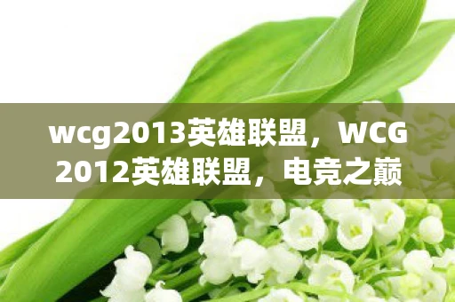 wcg2013英雄联盟,WCG2012英雄联盟,电竞之巅的荣耀与梦想 wcg2013英雄联盟,WCG2012英雄联盟,电竞之巅的荣耀与梦想