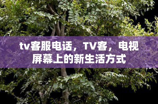 tv客服电话，TV客，电视屏幕上的新生活方式