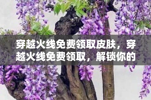 穿越火线免费领取皮肤，穿越火线免费领取，解锁你的游戏新体验