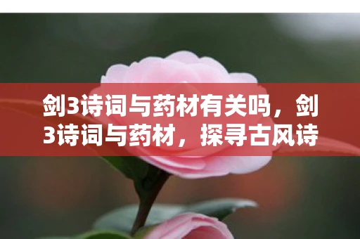 剑3诗词与药材有关吗，剑3诗词与药材，探寻古风诗意中的自然奥秘