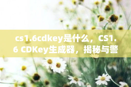 cs1.6cdkey是什么，CS1.6 CDKey生成器，揭秘与警示