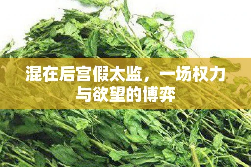 混在后宫假太监,一场权力与欲望的博弈 混在后宫假太监,一场权力与欲望的博弈