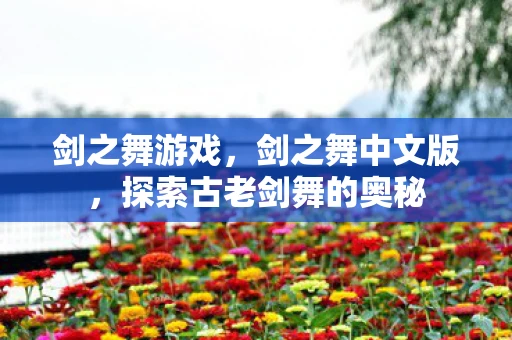 剑之舞游戏，剑之舞中文版，探索古老剑舞的奥秘