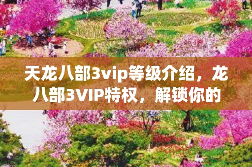 天龙八部3vip等级介绍，龙八部3VIP特权，解锁你的游戏新境界
