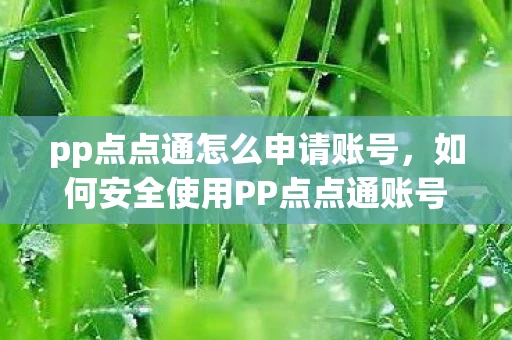 pp点点通怎么申请账号,如何安全使用PP点点通账号,全面指南 pp点点通怎么申请账号,如何安全使用PP点点通账号,全面指南