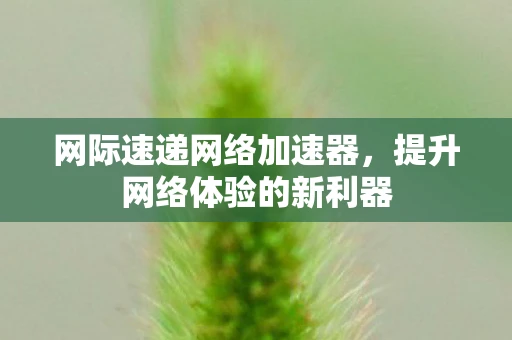 网际速递网络加速器,提升网络体验的新利器 网际速递网络加速器,提升网络体验的新利器