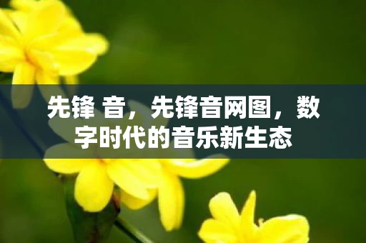 先锋 音，先锋音网图，数字时代的音乐新生态