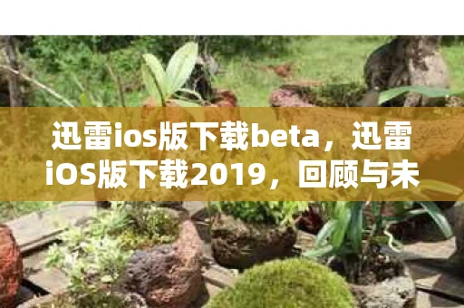 迅雷ios版下载beta，迅雷iOS版下载2019，回顾与未来展望