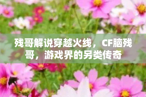 残哥解说穿越火线，CF脑残哥，游戏界的另类传奇