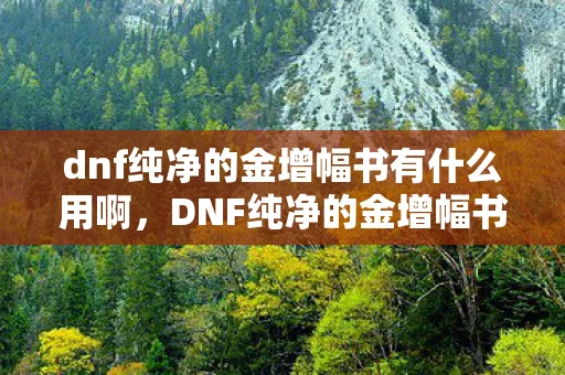 dnf纯净的金增幅书有什么用啊，DNF纯净的金增幅书，打造顶级装备的神器