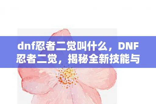 dnf忍者二觉叫什么，DNF忍者二觉，揭秘全新技能与玩法