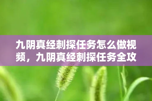 九阴真经刺探任务怎么做视频,九阴真经刺探任务全攻略,轻松掌握,事半功倍 九阴真经刺探任务怎么做视频,九阴真经刺探任务全攻略,轻松掌握,事半功倍