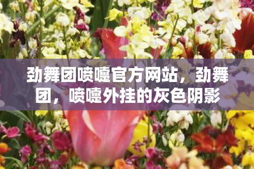 劲舞团喷嚏官方网站，劲舞团，喷嚏外挂的灰色阴影