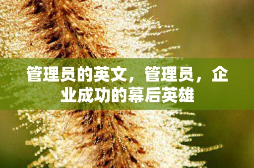 管理员的英文,管理员,企业成功的幕后英雄 管理员的英文,管理员,企业成功的幕后英雄