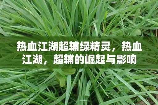 热血江湖超辅绿精灵,热血江湖,超辅的崛起与影响 热血江湖超辅绿精灵,热血江湖,超辅的崛起与影响