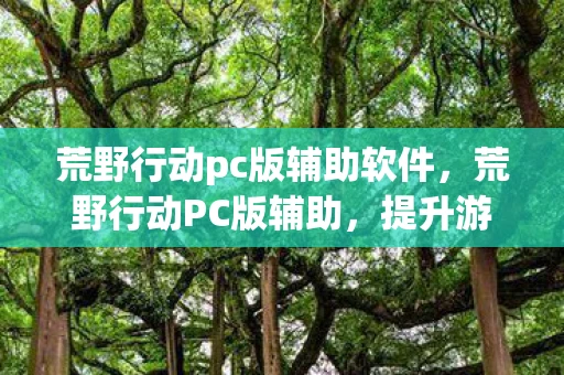 荒野行动pc版辅助软件，荒野行动PC版辅助，提升游戏体验的利器