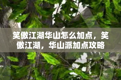 笑傲江湖华山怎么加点，笑傲江湖，华山派加点攻略