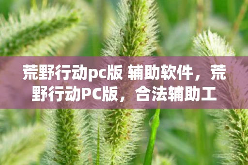 荒野行动pc版 辅助软件，荒野行动PC版，合法辅助工具助你提升游戏体验