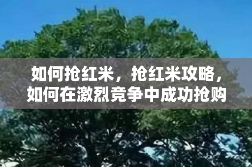 如何抢红米，抢红米攻略，如何在激烈竞争中成功抢购红米手机