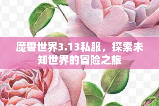 魔兽世界3.13私服,探索未知世界的冒险之旅 魔兽世界3.13私服,探索未知世界的冒险之旅