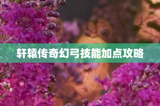 轩辕传奇幻弓技能加点攻略