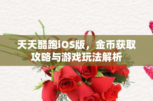 金币获取攻略与游戏玩法解析图片