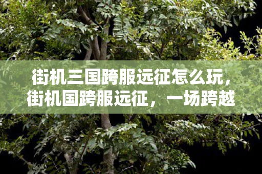 街机三国跨服远征怎么玩，街机国跨服远征，一场跨越时空的竞技盛宴