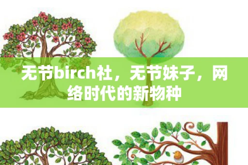 无节birch社,无节妹子,网络时代的新物种 无节birch社,无节妹子,网络时代的新物种