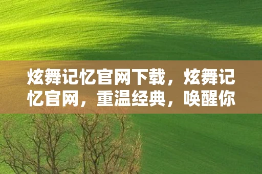 炫舞记忆官网下载,炫舞记忆官网,重温经典,唤醒你的舞蹈灵魂 炫舞记忆官网下载,炫舞记忆官网,重温经典,唤醒你的舞蹈灵魂
