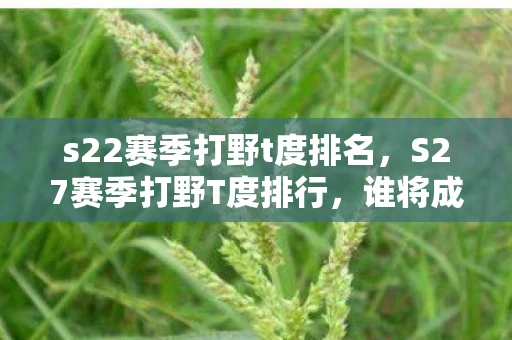 s22赛季打野t度排名，S27赛季打野T度排行，谁将成为野区霸主？