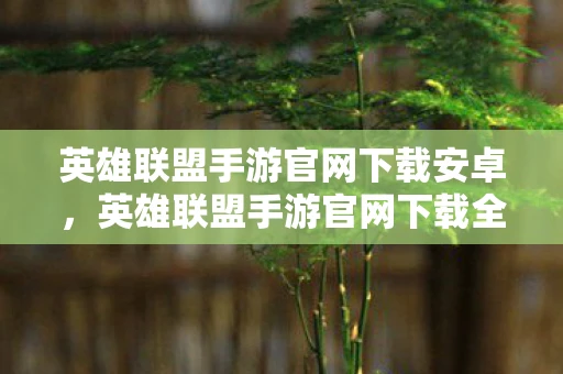英雄联盟手游官网下载安卓，英雄联盟手游官网下载全攻略，轻松开启你的移动电竞之旅
