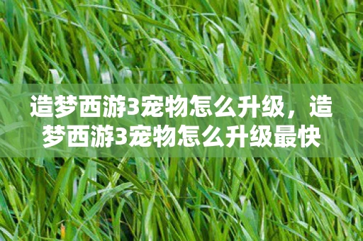 造梦西游3宠物怎么升级，造梦西游3宠物怎么升级最快？