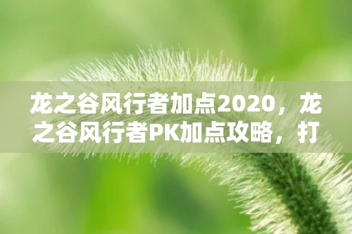 龙之谷风行者加点2020，龙之谷风行者PK加点攻略，打造最强战斗风格