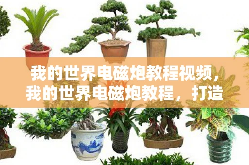 我的世界电磁炮教程视频,我的世界电磁炮教程,打造终极武器,征服方块世界 我的世界电磁炮教程视频,我的世界电磁炮教程,打造终极武器,征服方块世界