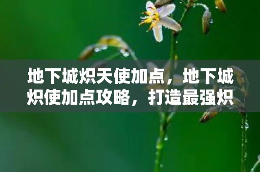 地下城炽天使加点，地下城炽使加点攻略，打造最强炽天使的加点策略