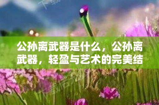 公孙离武器是什么，公孙离武器，轻盈与艺术的完美结合