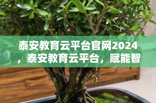 泰安教育云平台官网2024，泰安教育云平台，赋能智慧教育，引领未来学习