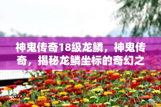 神鬼传奇18级龙鳞，神鬼传奇，揭秘龙鳞坐标的奇幻之旅