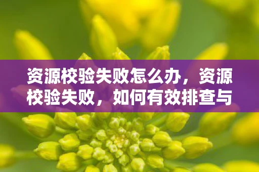 资源校验失败怎么办，资源校验失败，如何有效排查与解决