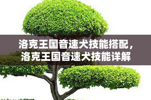 洛克王国音速犬技能搭配，洛克王国音速犬技能详解