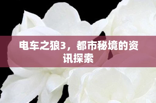 都市秘境的资讯探索图片