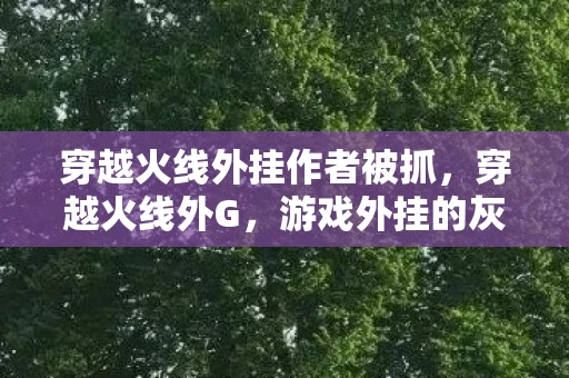穿越火线外挂作者被抓，穿越火线外G，游戏外挂的灰色阴影