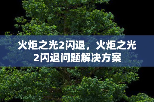 火炬之光2闪退，火炬之光2闪退问题解决方案