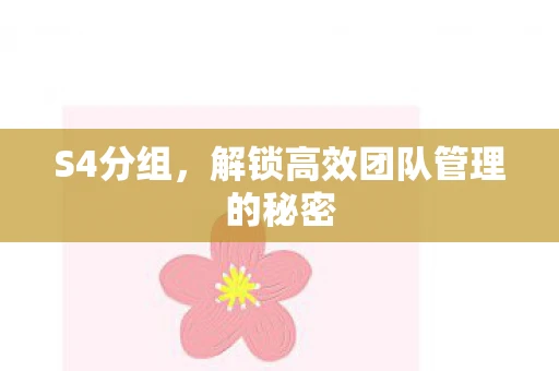 S4分组，解锁高效团队管理的秘密