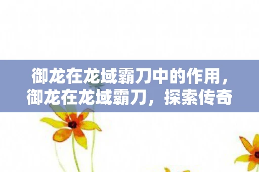 御龙在龙域霸刀中的作用，御龙在龙域霸刀，探索传奇世界的奥秘