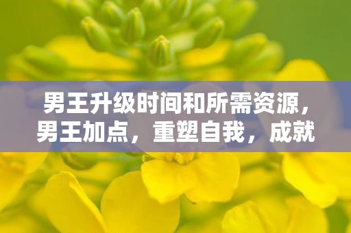 男王升级时间和所需资源，男王加点，重塑自我，成就非凡人生