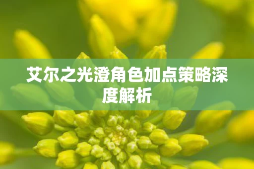艾尔之光澄角色加点策略深度解析图片