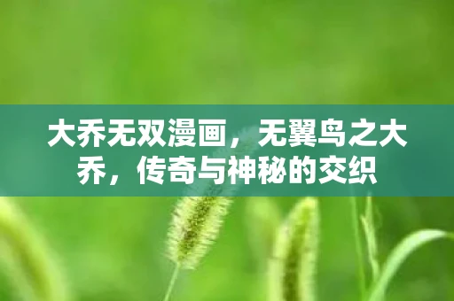 大乔无双漫画，无翼鸟之大乔，传奇与神秘的交织