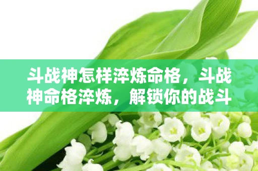 斗战神怎样淬炼命格，斗战神命格淬炼，解锁你的战斗潜能