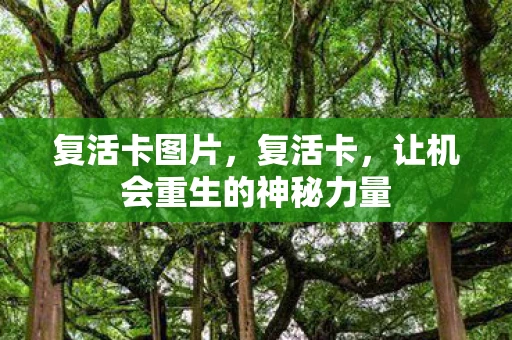 复活卡图片，复活卡，让机会重生的神秘力量